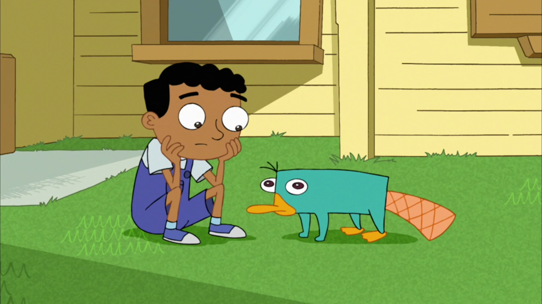 Image Baljeet Watches Perry jpg Phineas And Ferb Wiki FANDOM 