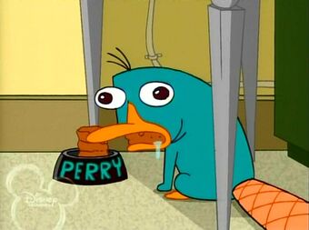 Thu Mỏ Vịt Perry Phineas And Ferb Wiki Tiếng Việt Fandom