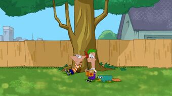 Lagu Tema Phineas And Ferb Phineas And Ferb Wiki Fandom