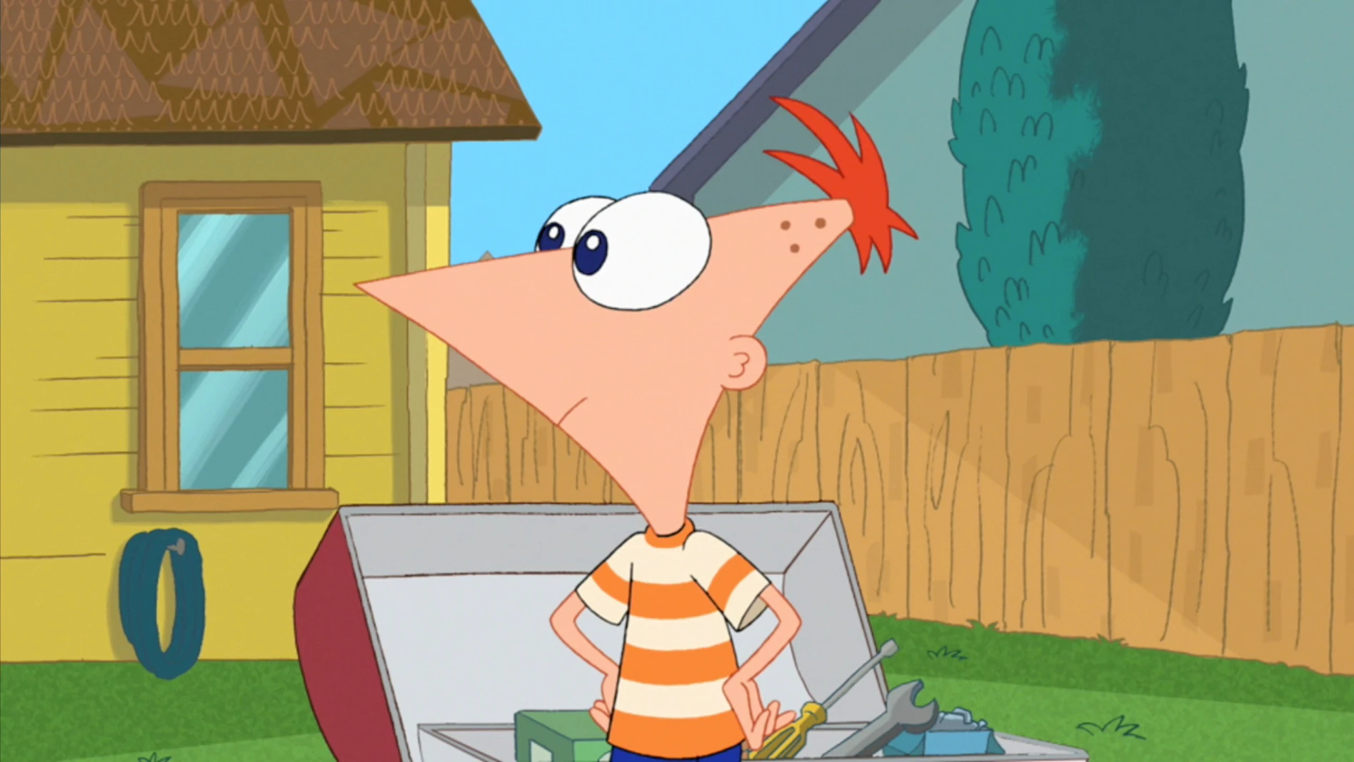 Phineas Und Ferb Perry Komm Nach Hause