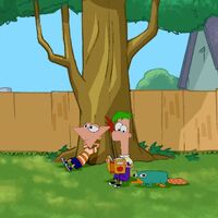 Phineas Und Ferb Titelsong Phineas Und Ferb Wiki Fandom