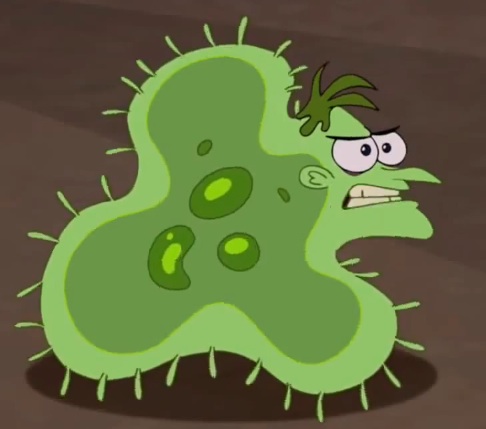 image doof the single celled organism jpg phineas and ferb wiki