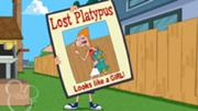 Phineas und Ferb 54