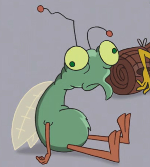 floyd the fly phineas and ferb owca files