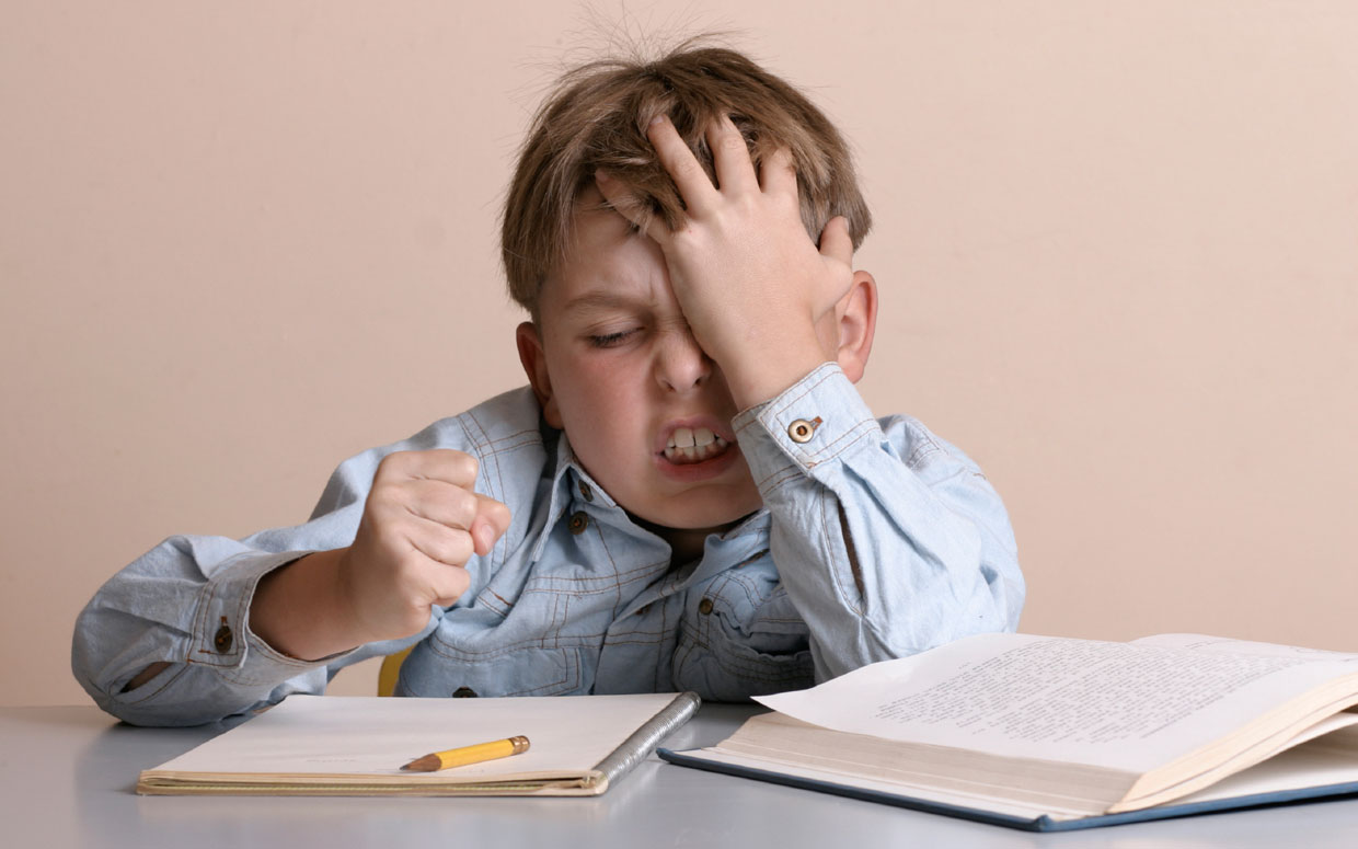 Articles against homework Articles against homework picture