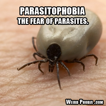 Parasitophobia