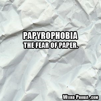 Phobia essay