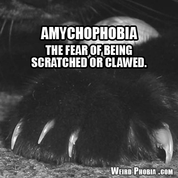 Amychophobia
