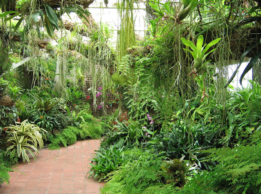 Natural Edible Plants Park Natural Edible Plants Park