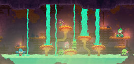 Hidden Village Spa