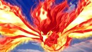Fenix celestial 3