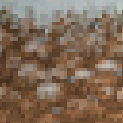 Wikidirt3