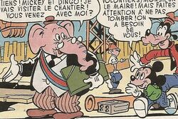Maire de Mickeyville