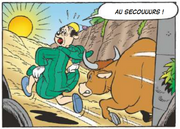 Le taureau pourchasse M. Ahmed