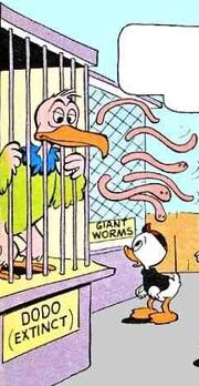 Dodo