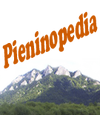 Wiki