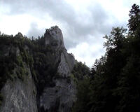 Głowa cukru