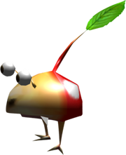 Bulbmin young
