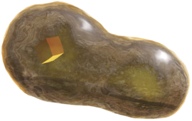 Mysterious life-form