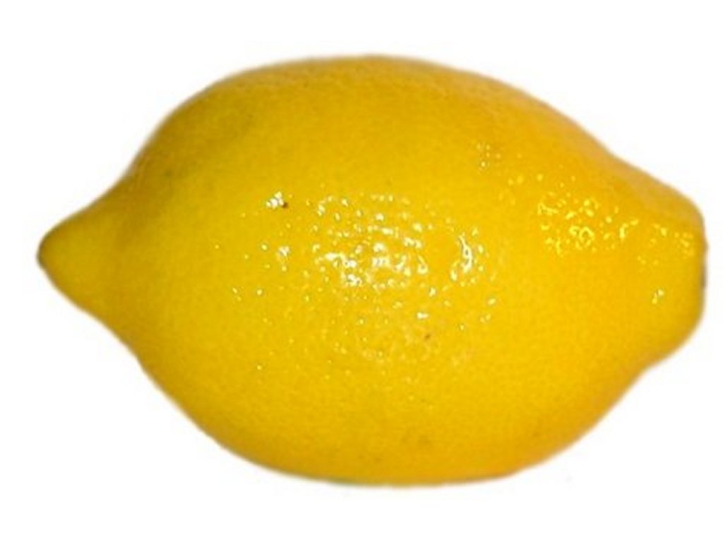 image lemon 1 jpg pikmin fandom powered by wikia