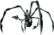 Titandweevil