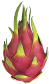 Drachenfrucht