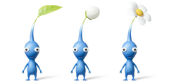 Blue Pikmin1