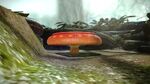 BouncyMushroom