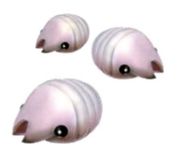 Sheargrub-female