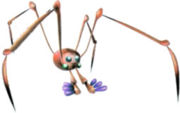 Fierydweevil