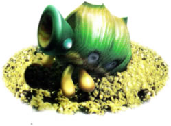 Armored Cannon Beetle Larva