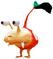 Bulbmin2