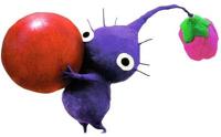 Purple pikmin with Berry