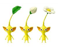 Normal yellowpikmins