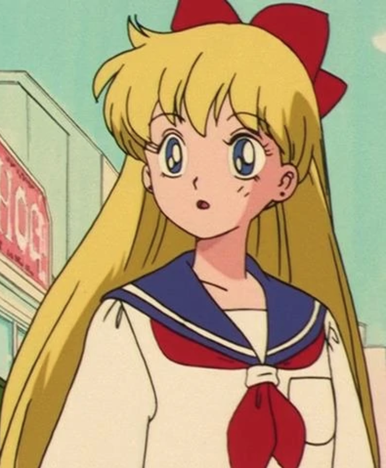 Minako Aino | Pikminjake Wiki | Fandom