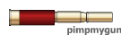 Shotgun Shell