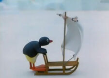 Pingu Goes Ice Surfing | Pingu Wiki | FANDOM powered by Wikia