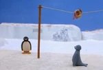 Pingu e Robbie e Peixe