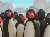 Penguins2