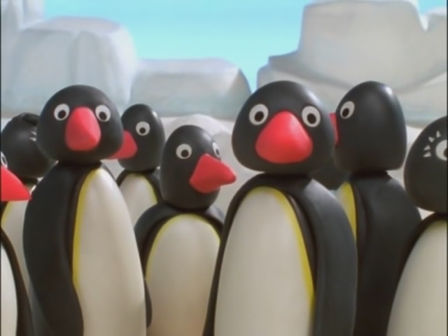 Видео пингу. JIMJAM Пинги. Pingu 1986. Pingu 2003. Пингу шоу.