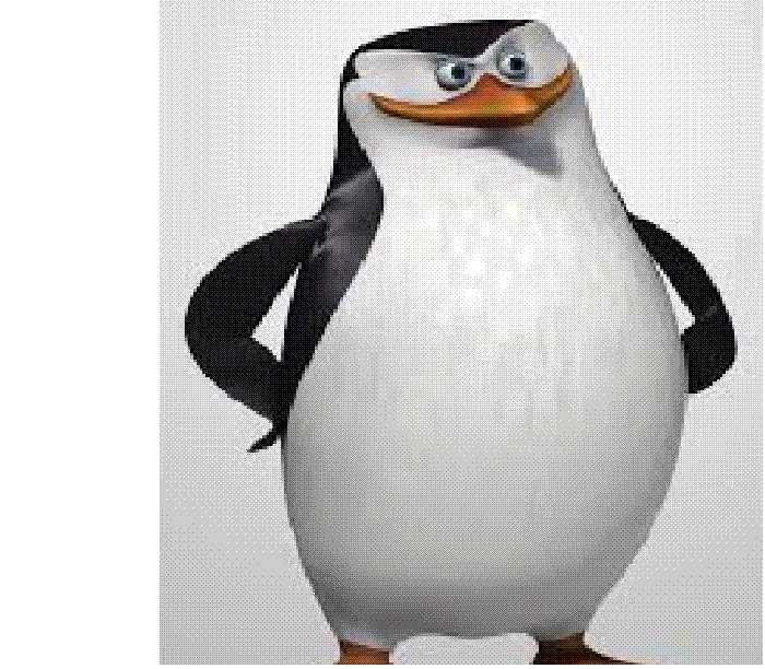 skipper-pingwiny-z-madagaskaru-wiki-fandom-powered-by-wikia