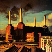 Animals