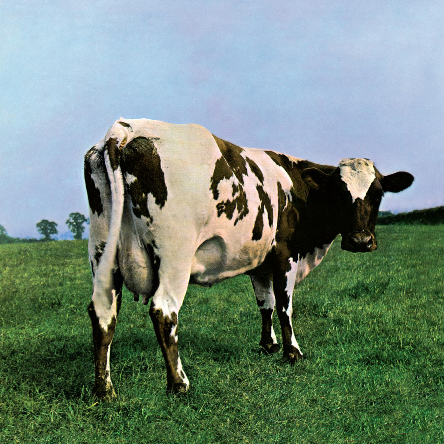 Atom Heart Mother Pink Floyd FANDOM powered by Wikia Atom Heart Mother Pink Floyd FANDOM powered by Wikia