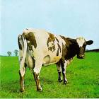 Atom heart mother