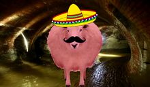 Homie Roberto Pinksheep Yt Wikia Fandom - video i lost my mustache roblox the pink sheep wikia