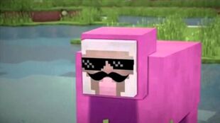 Pink Sheep  PinkSheep YT Wikia  FANDOM powered by Wikia