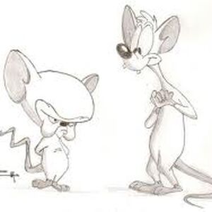 Cerebro Pinky Y Cerebro Wiki Fandom