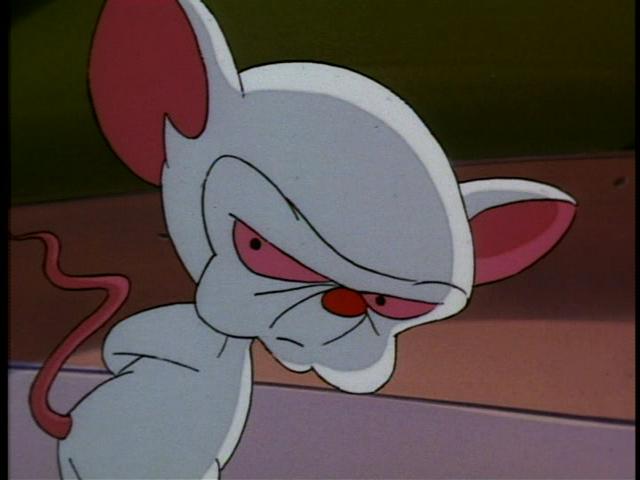 download new pinky and the brain download new pinky and the brain