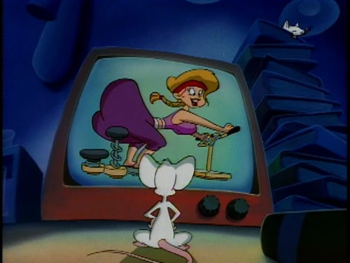 Image - Pinky watching TV.jpg | Pinky and the Brain Wiki ...