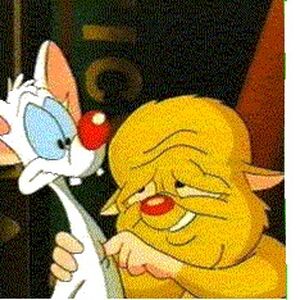 Pinky Pinky And The Brain Wiki Fandom